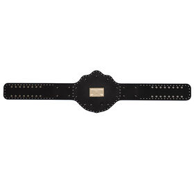 Ric Flair Signature Series Championship Replica Title