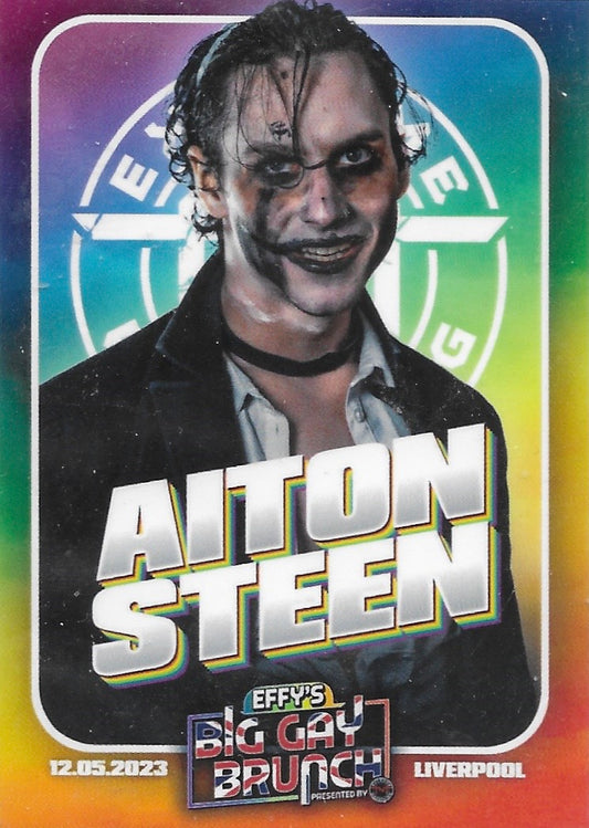 Aiton Steen
