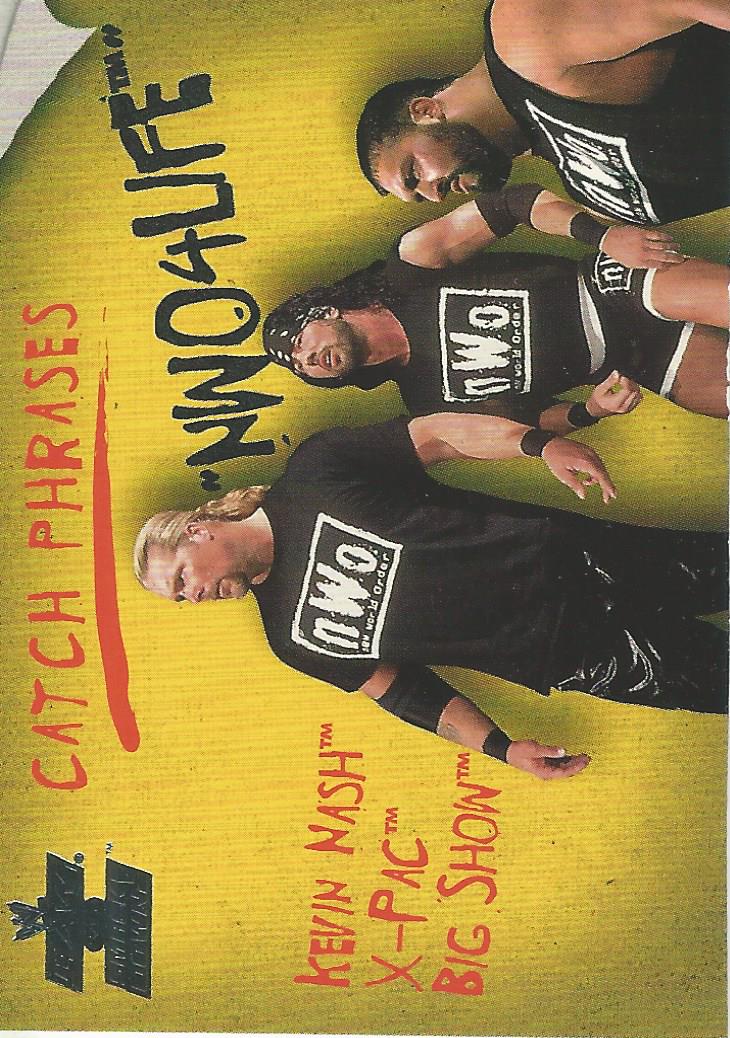 WWE Fleer Raw vs Smackdown 2002 NWO CP 13 of 15 trading card PW Catalog
