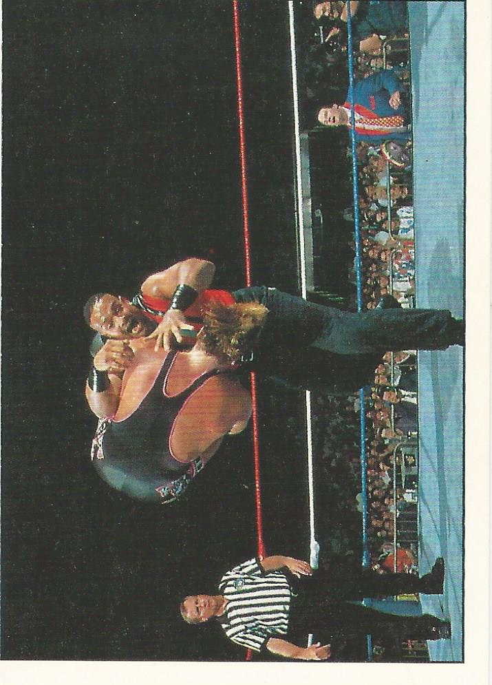 WWF Panini 1995 Sticker Collection Savio Vega #105