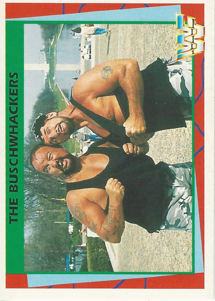 WWF Merlin 1995 Bushwhackers #108