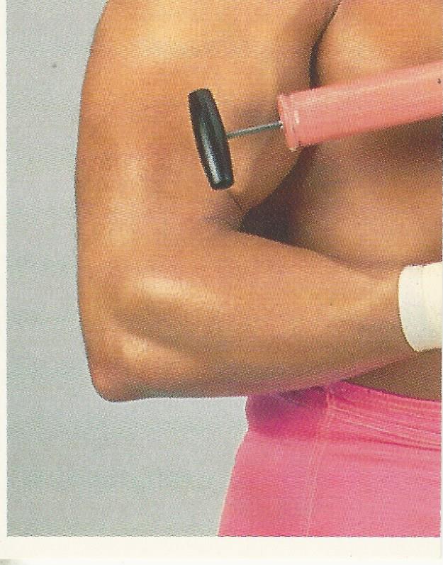 WWF Merlin Stickers 1992 Rick Martel #109