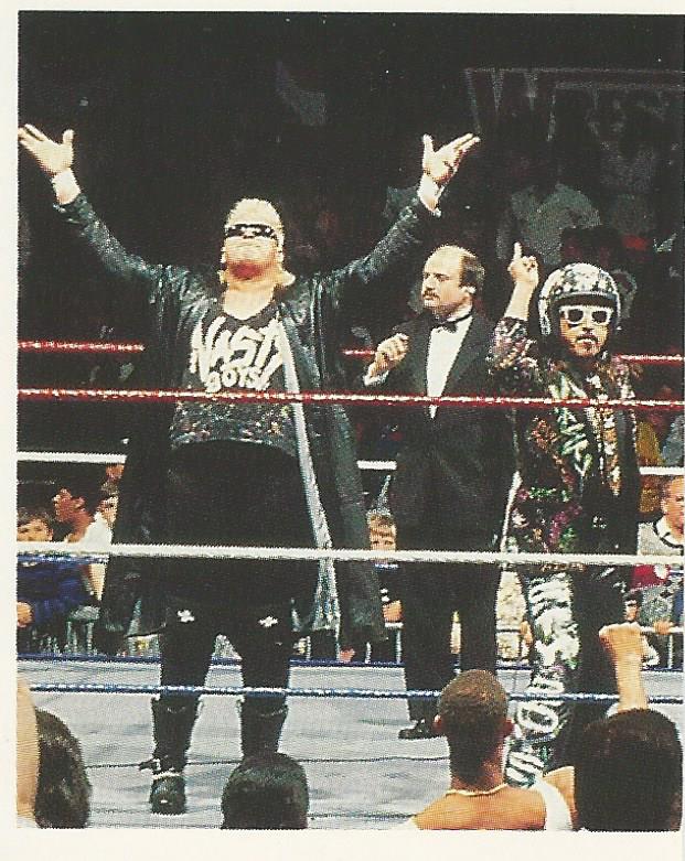 WWF Merlin Stickers 1991 Nasty Boys #113