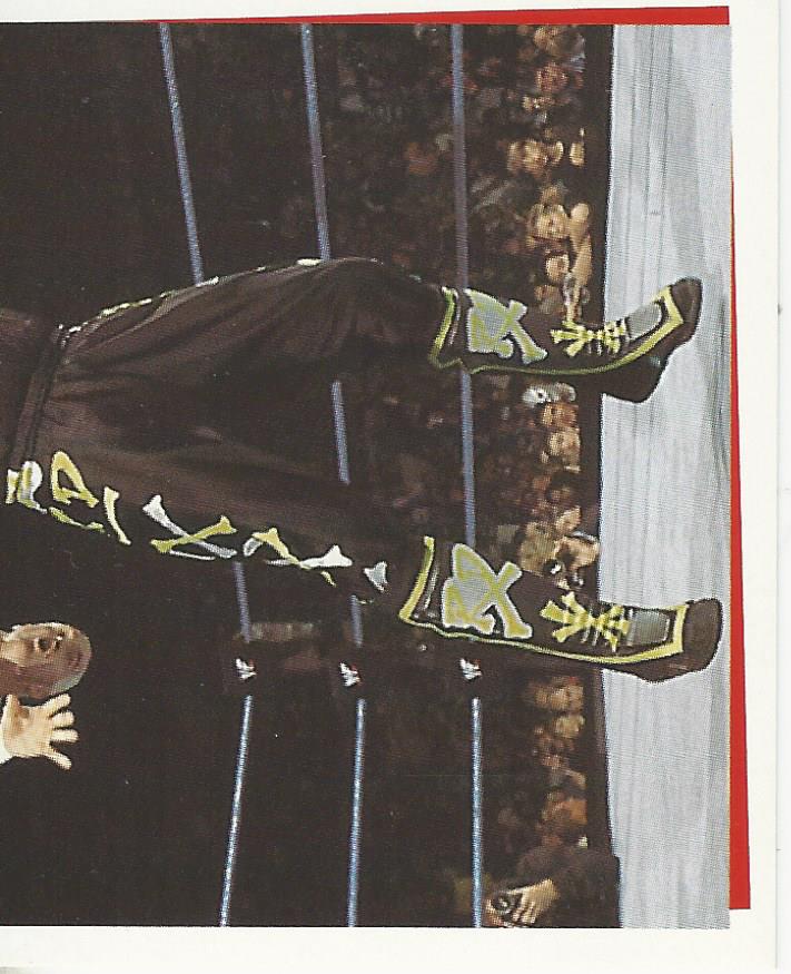 WWF Smackdown Stickers 2000 Road Dogg #114