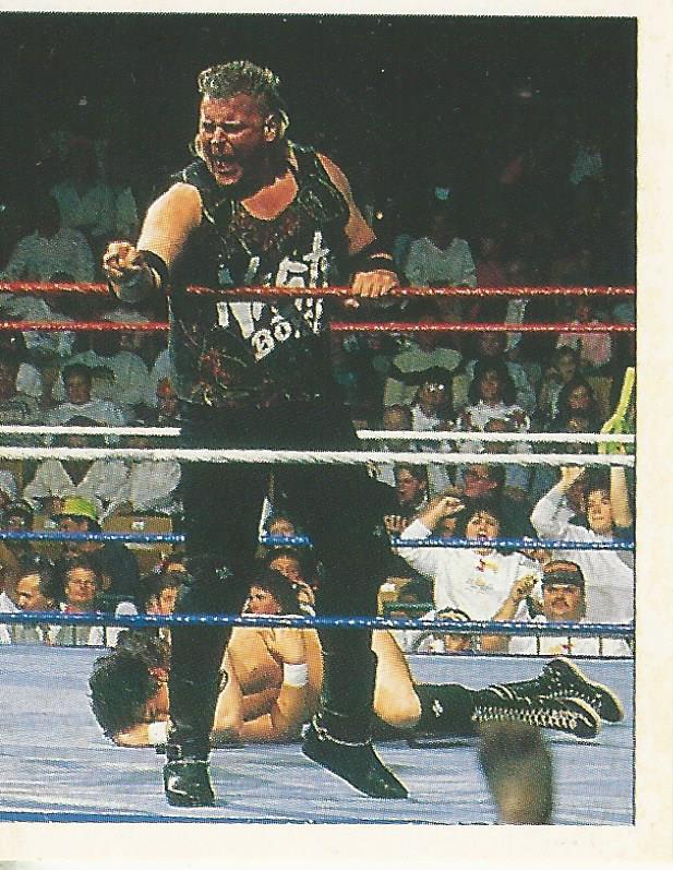 WWF Merlin Stickers 1991 Nasty Boys #116