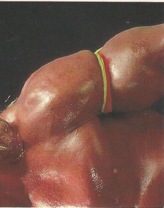 WWF Merlin Sticker Collection 1990 Ultimate Warrior #117