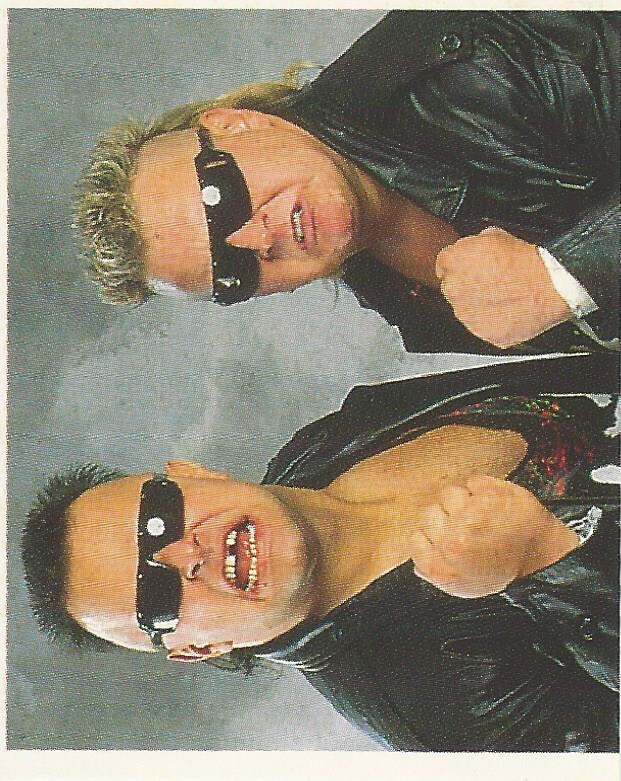 WWF Merlin Stickers 1991 Nasty Boys #119