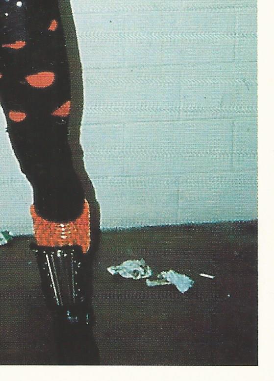 WCW Euroflash 1992 Sticker Van Hammer #119