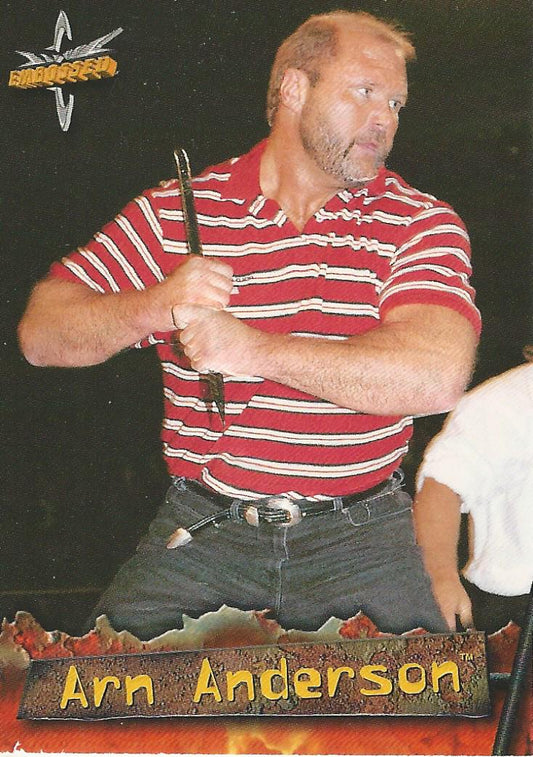 WCW Topps Embossed 1999 Arn Anderson #11