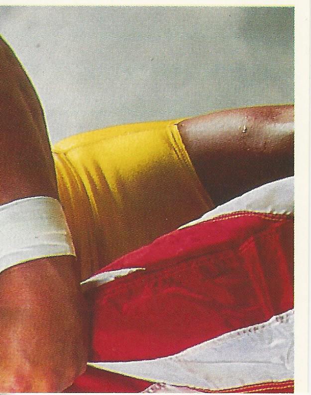 WWF Merlin Stickers 1991 Hulk Hogan #12