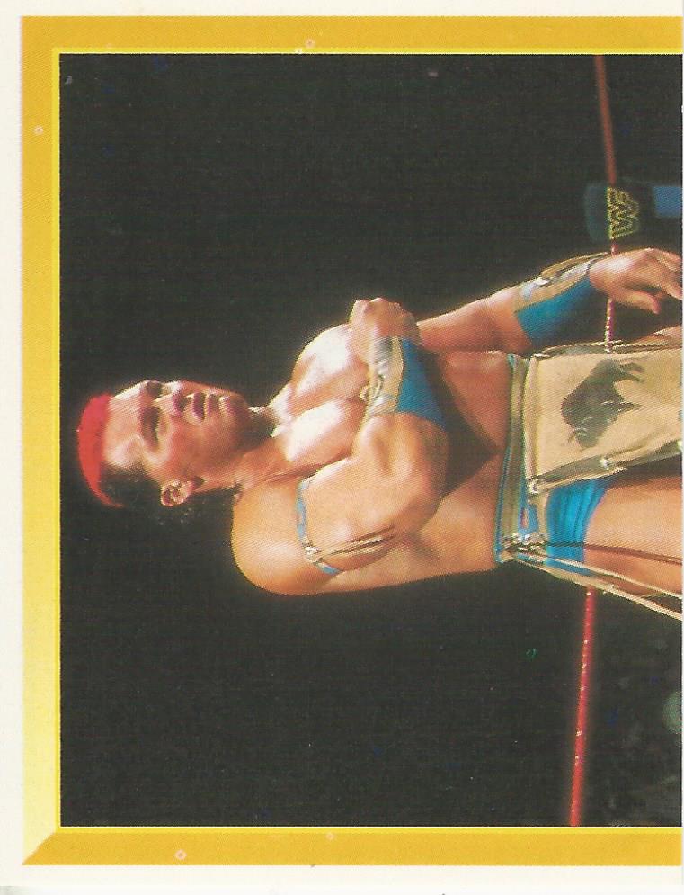 WWF Merlin Sticker 1994 Tatanka #130