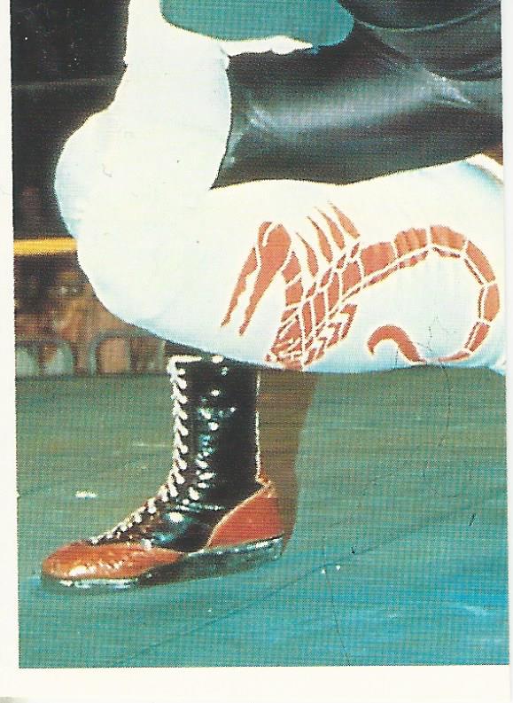 WCW Euroflash 1992 Sticker Vader #130