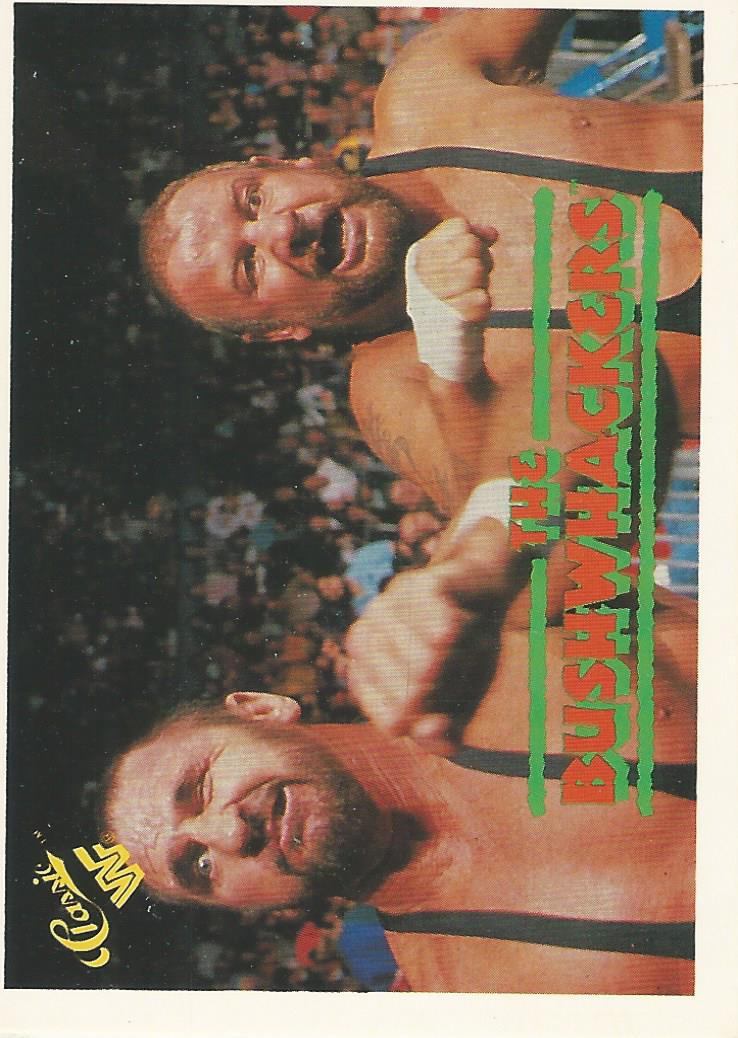 WWF Classic Trading Cards 1990 Bushwhackers No.132 trading card PW Catalog