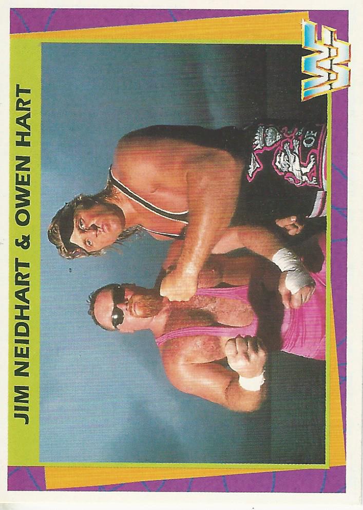 WWF Merlin 1995 Jim Neidhart and Owen Hart #133