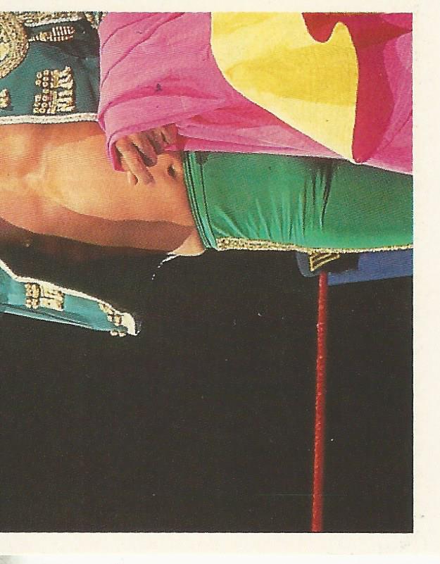 WWF Merlin Stickers 1992 Tito Santana #133