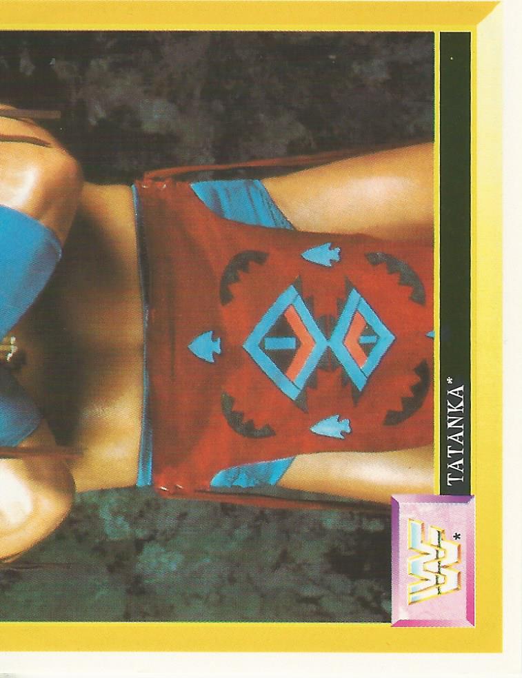 WWF Merlin Sticker 1994 Tatanka #137
