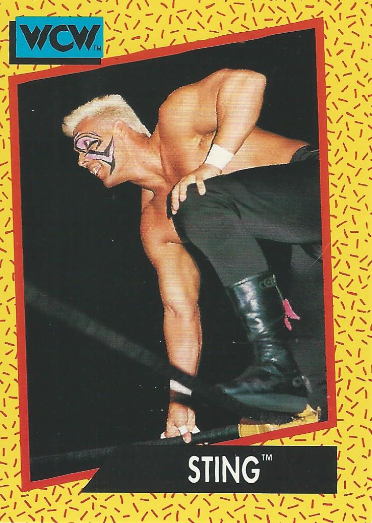 WCW Impel 1991 Sting #13