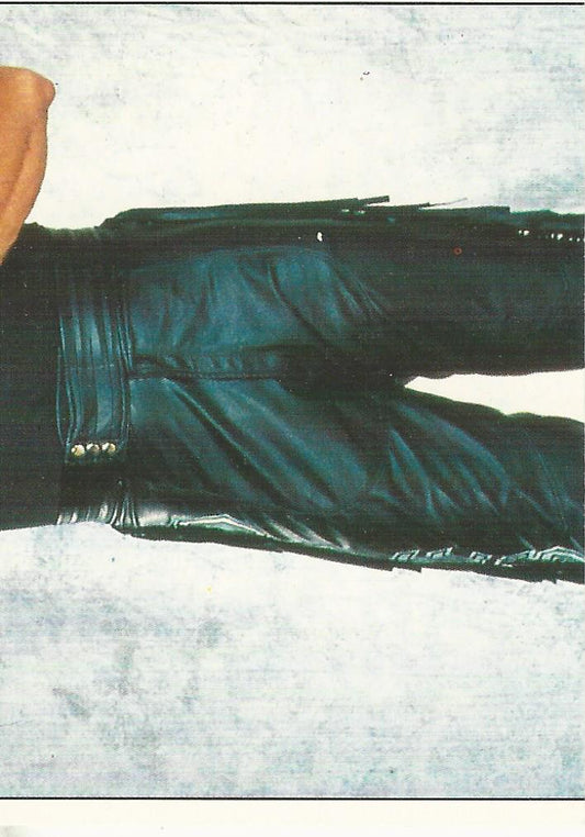 WWF Panini 1995 Sticker Collection Diesel #13