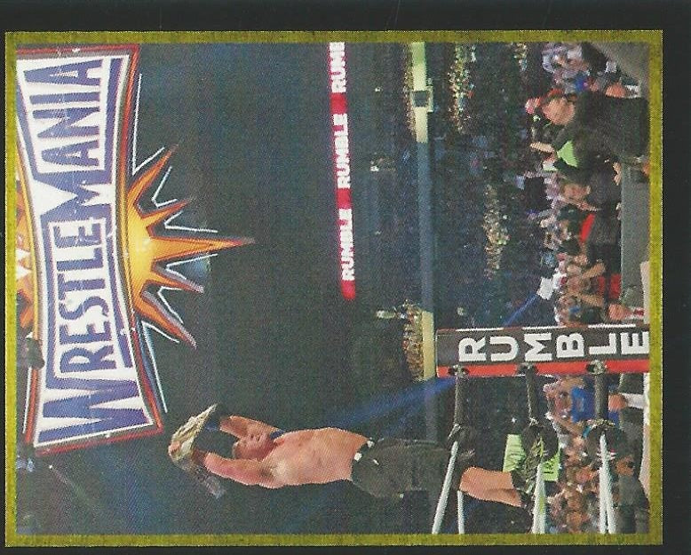 WWE Topps Stickers 2017 John Cena #198