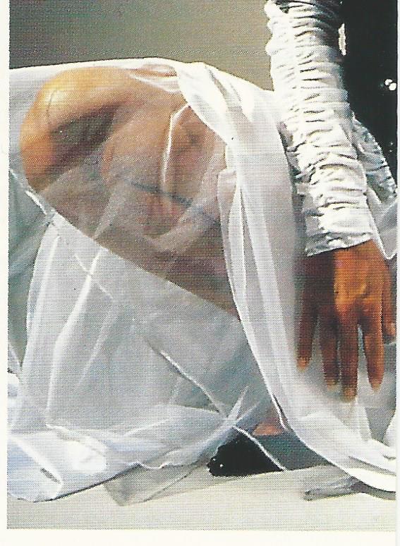 WCW Euroflash 1992 Sticker Missy Hyatt #141