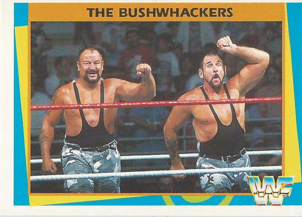 WWF Merlin 1995 Bushwhackers #141