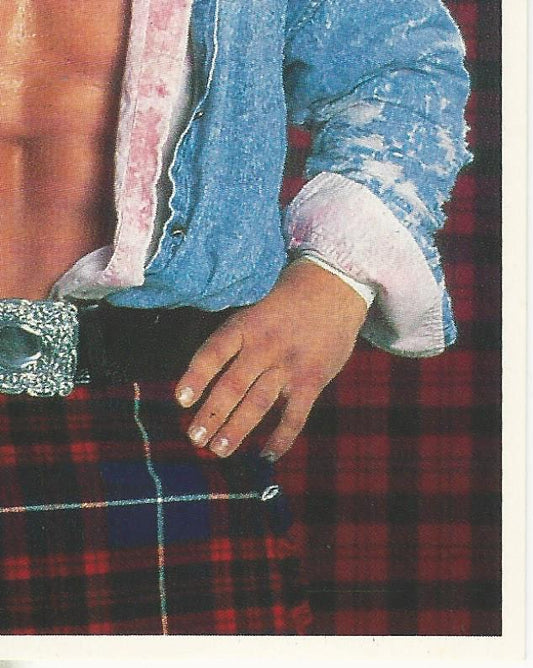 WWF Merlin Stickers 1991 Rowdy Roddy Piper #142