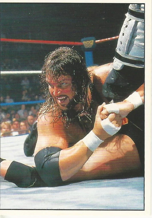 WWF Panini 1995 Sticker Collection Adam Bomb #142