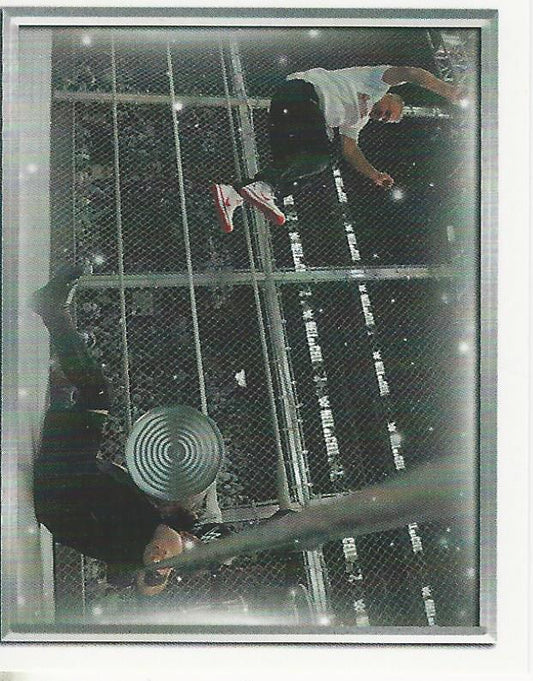 WWE Topps 2018 Stickers Shane McMahon #142