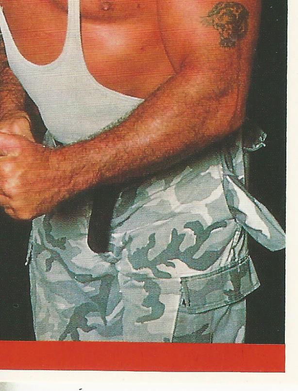 WWF Merlin Sticker Collection 1990 Bushwhackers #148