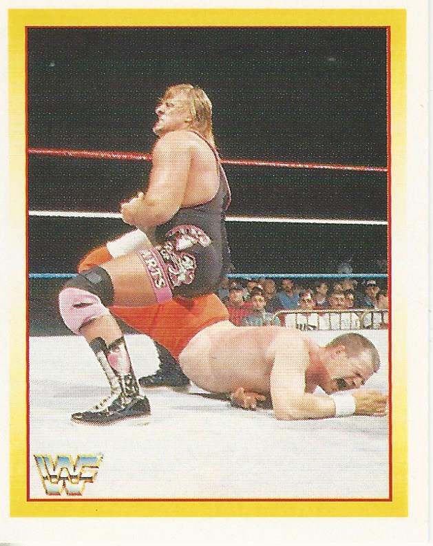 WWF Merlin Stickers 1995 Owen Hart #148
