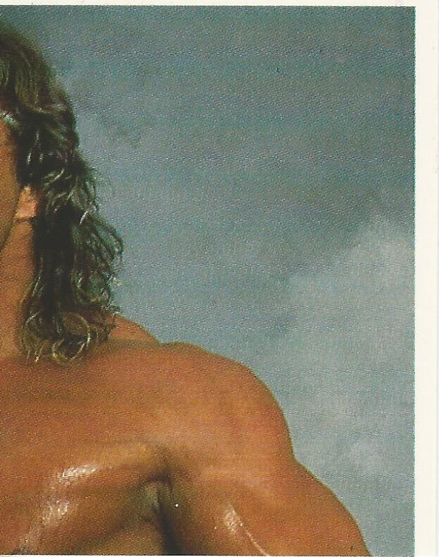 WWF Merlin Stickers 1991 Texas Tornado #149