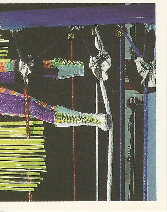 WWF Merlin Stickers 1992 Macho Man Randy Savage #149