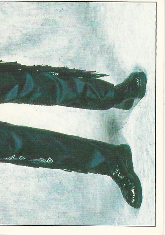 WWF Panini 1995 Sticker Collection Diesel #14