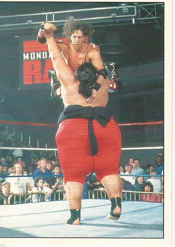 WWF Panini 1995 Sticker Collection 123 Kid #151