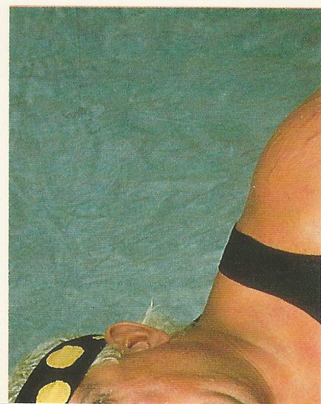 WWF Merlin Sticker Collection 1990 Dusty Rhodes #158
