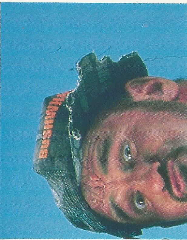 WWF Merlin Stickers 1991 Bushwhackers #158