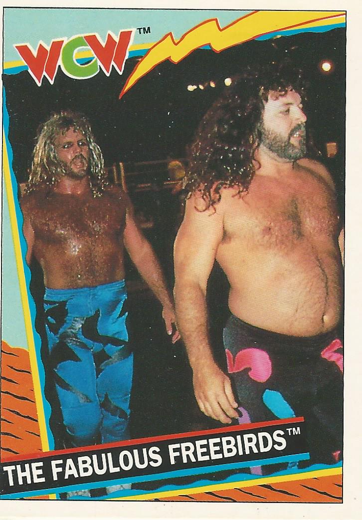 WCW Topps 1992 Michael Hayes and Jimmy Garvin #15