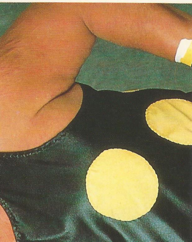 WWF Merlin Sticker Collection 1990 Dusty Rhodes #160