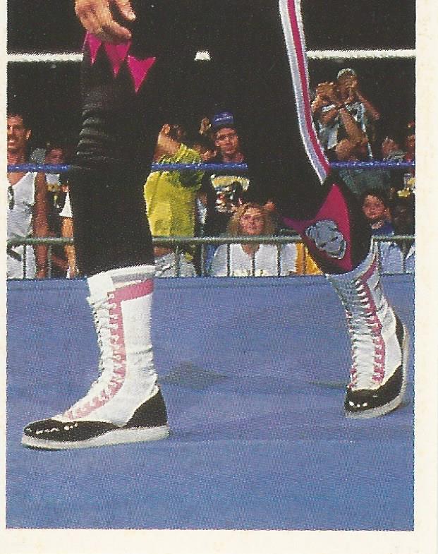 WWF Merlin Stickers 1991 Bret Hart #168
