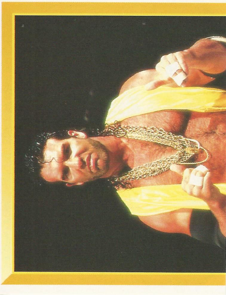 WWF Merlin Sticker 1994 Razor Ramon #171
