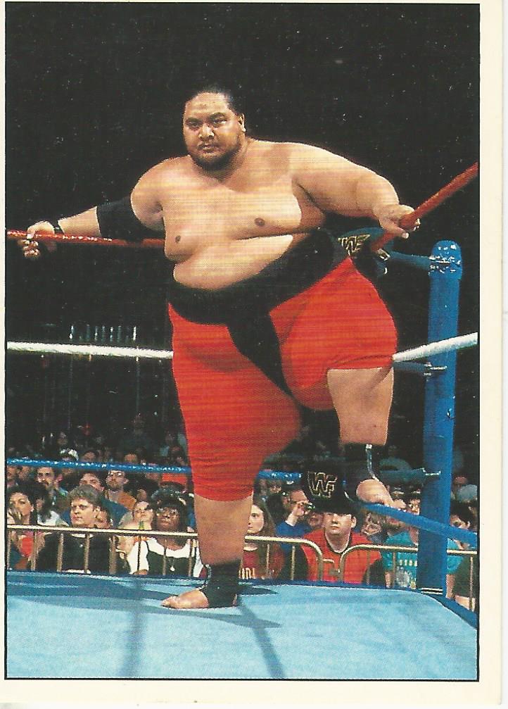 WWF Panini 1995 Sticker Collection Yokozuna #173