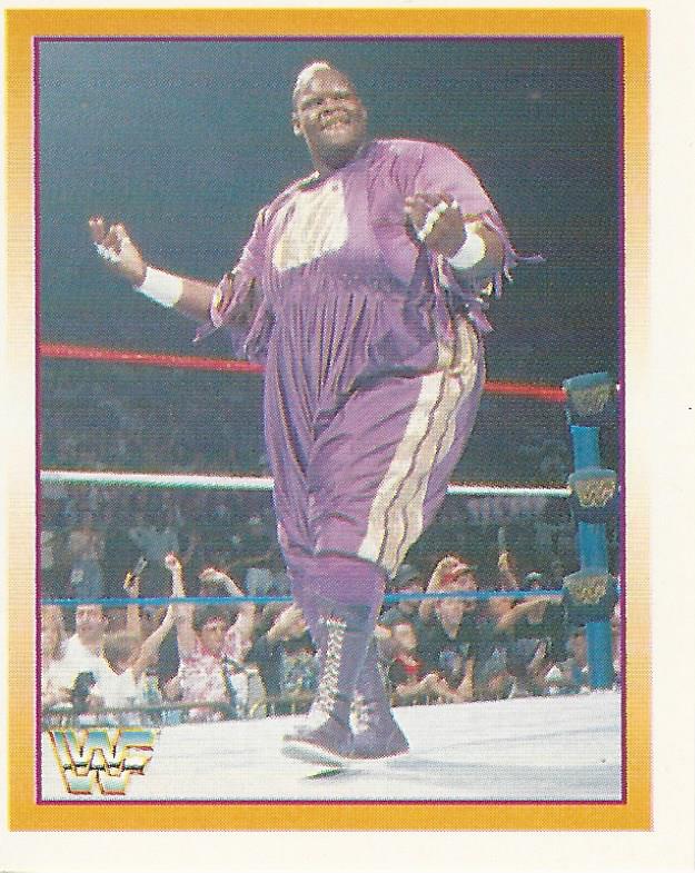 WWF Merlin Stickers 1995 Mabel #177