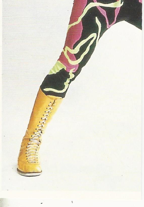 WCW Euroflash 1992 Sticker Michael Hayes #177