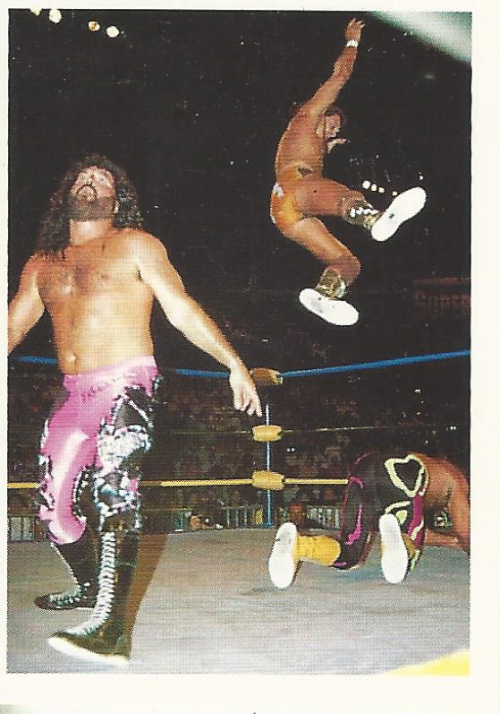 WCW Euroflash 1992 Sticker Jimmy Garvin #179