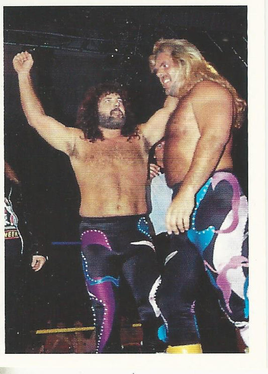 WCW Euroflash 1992 Sticker Jimmy Garvin and Michael Hayes #180