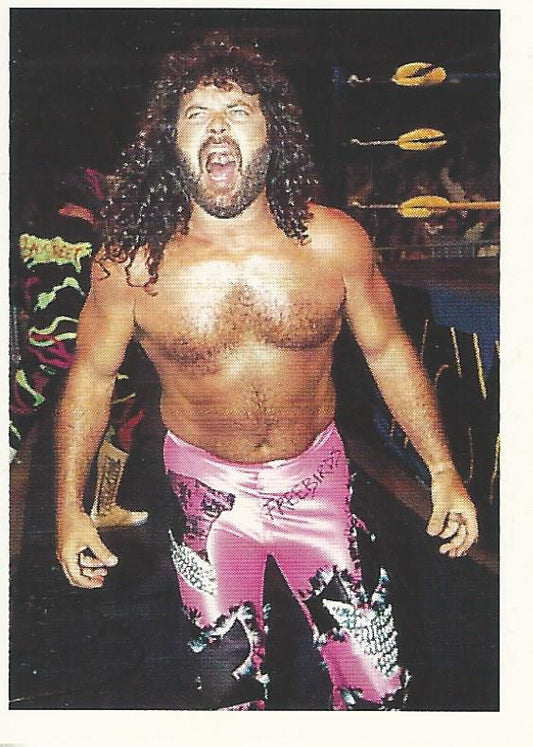 WCW Euroflash 1992 Sticker Jimmy Garvin #181