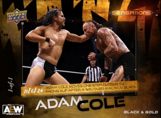 11/6/24 – Adam Cole – Adam Cole Moves One Step Closer to Facing MJF After a Win Over Malakai Black