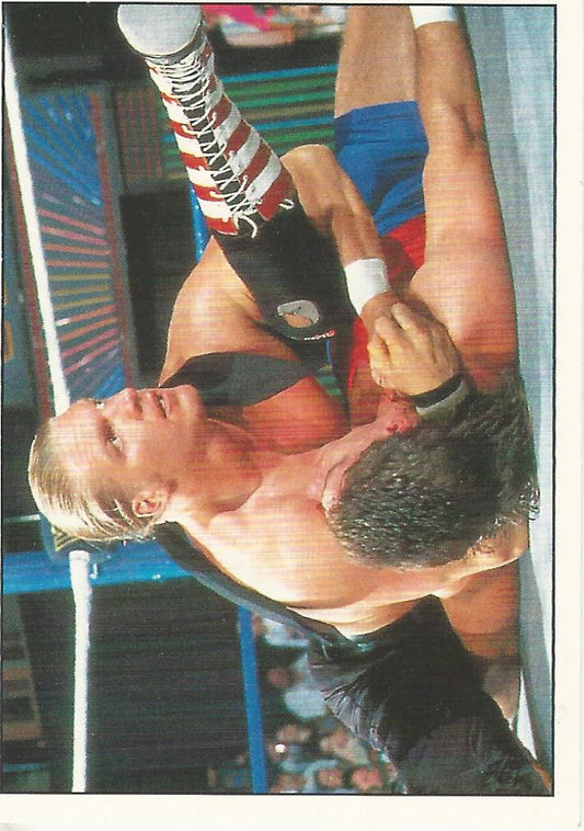 WWF Panini 1995 Sticker Collection Triple H #185