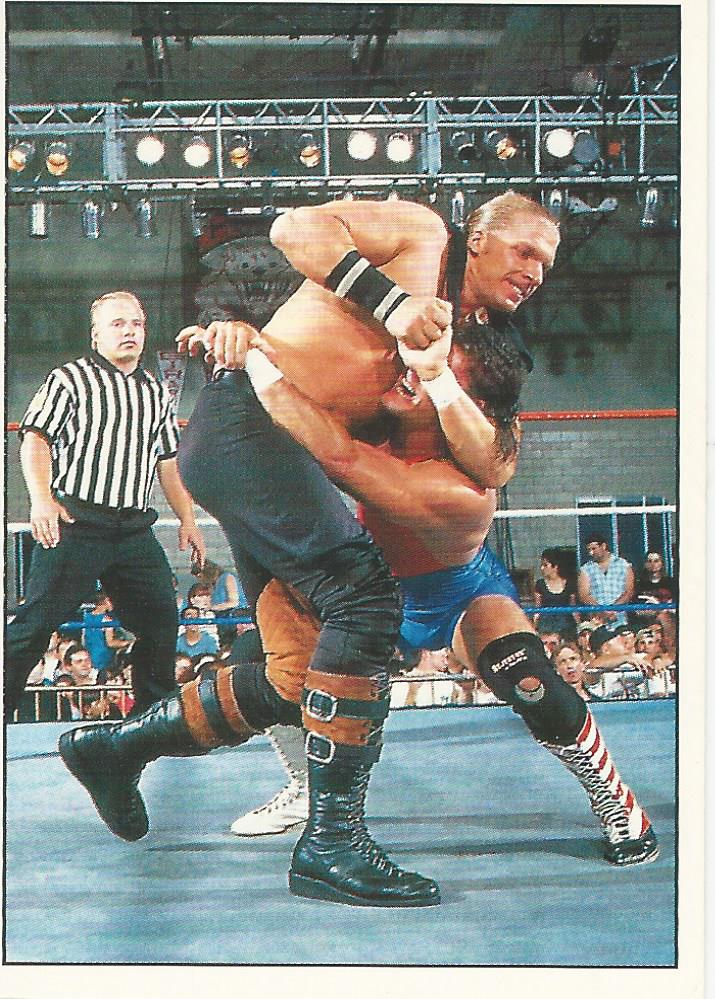 WWF Panini 1995 Sticker Collection Triple H #186