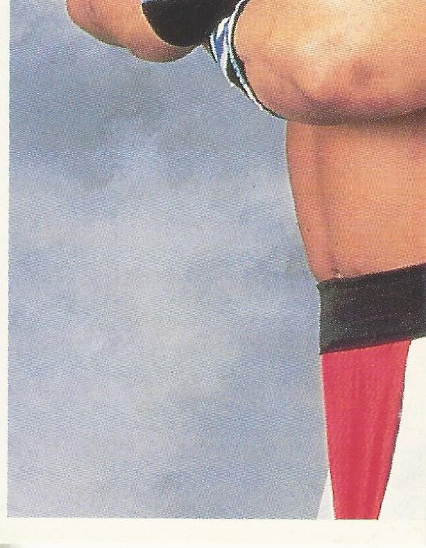 WWF Merlin Stickers 1992 Tatanka #189